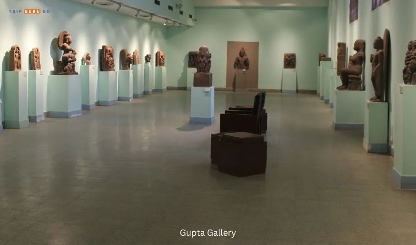 Gupta Gallery at national museum of india