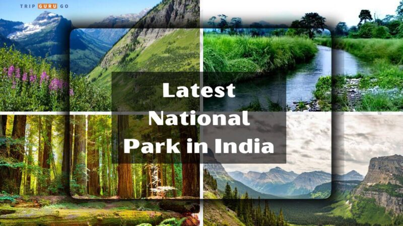 Latest National Park in India 2024: Exploring Biodiversity