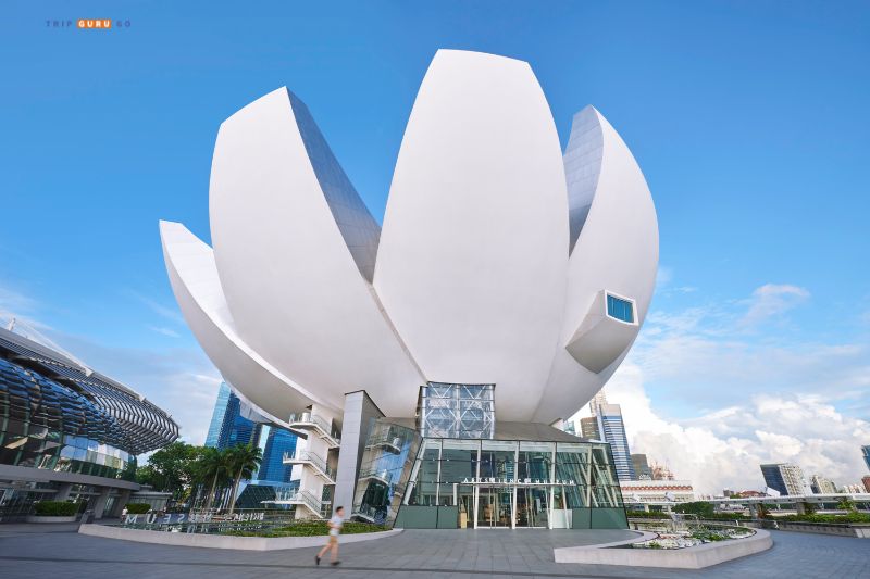 Top 20 Museums of Illusions in the World - ArtScience Museum Singapore