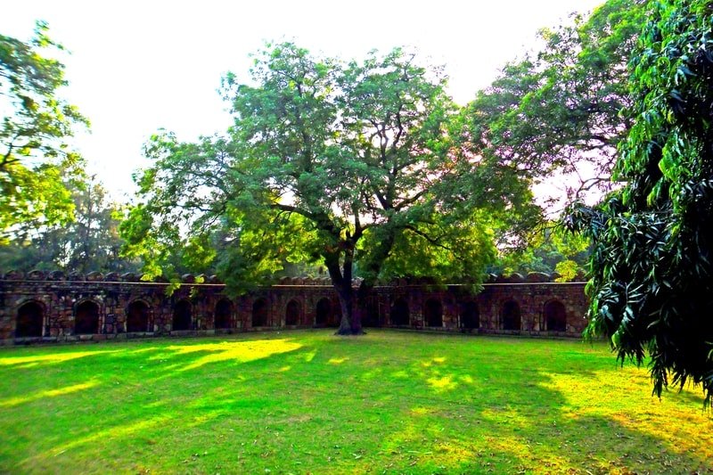 Walled enclosure of the Sikander Lodi's Tomb