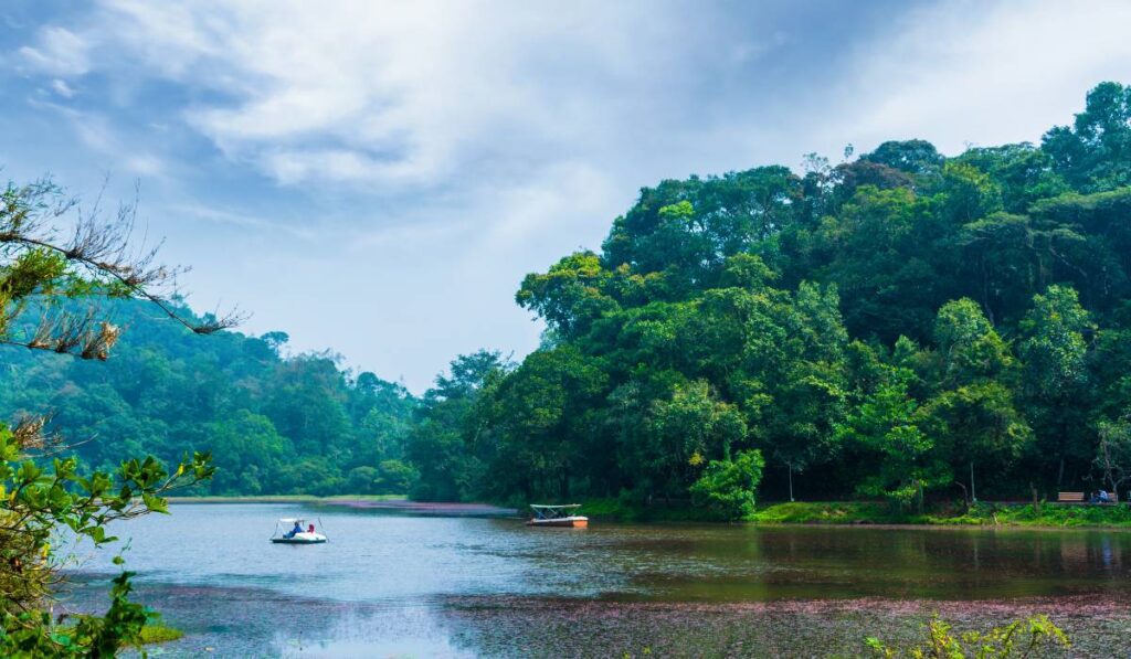 Wayanad Best places to visit in winter for couples